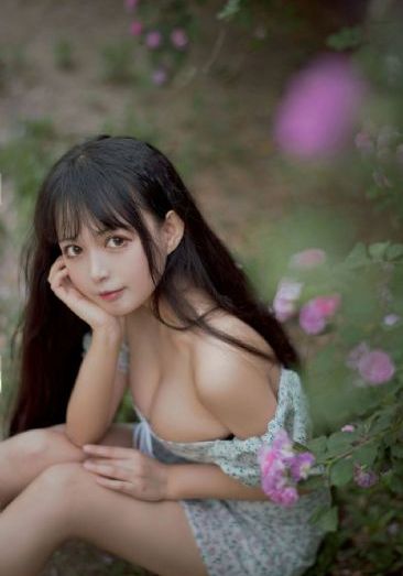 流星网