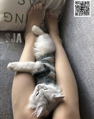 借命人 电影