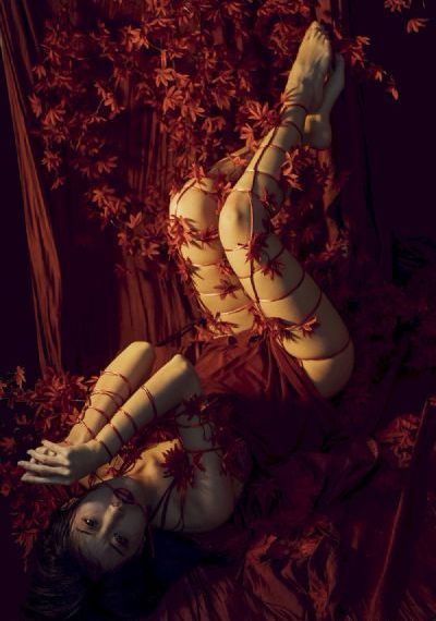 法国牧羊女