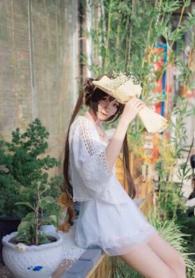 完美世界动漫樱花